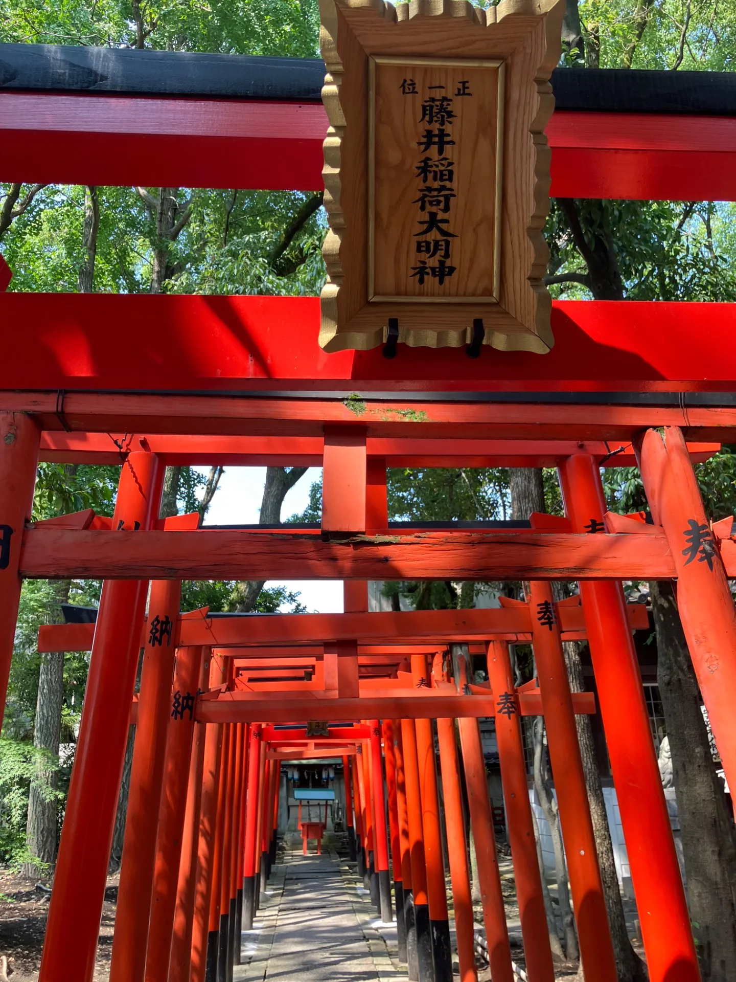 今日から9月！！