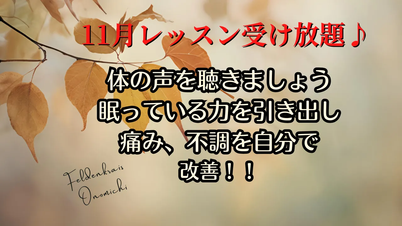 11月オンラインレッスンメニュー🎵🎵🎵
